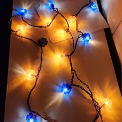 University Illinois Fighting Illini Christmas 20 Light Set