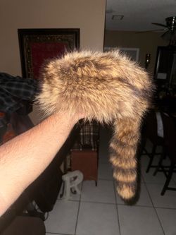 Raccoon Skin Hat
