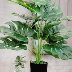 Fake plants
