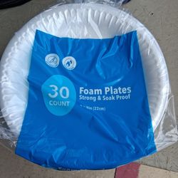 Foam Plates  30 Count 