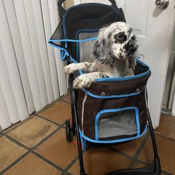 dog stroller