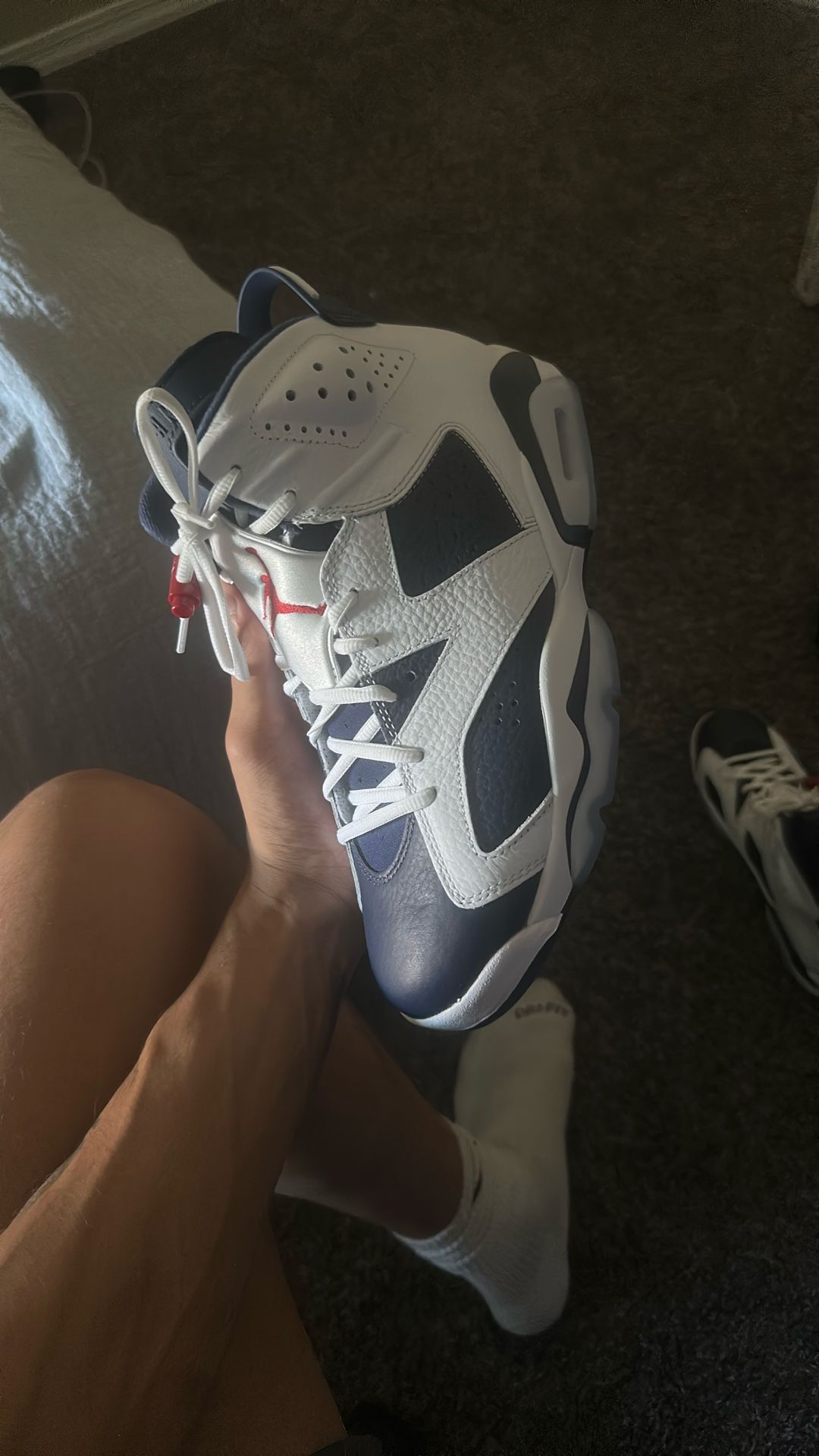 jordan olympic 6s