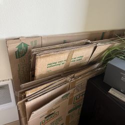 Moving Boxes (20+ in all sizes)