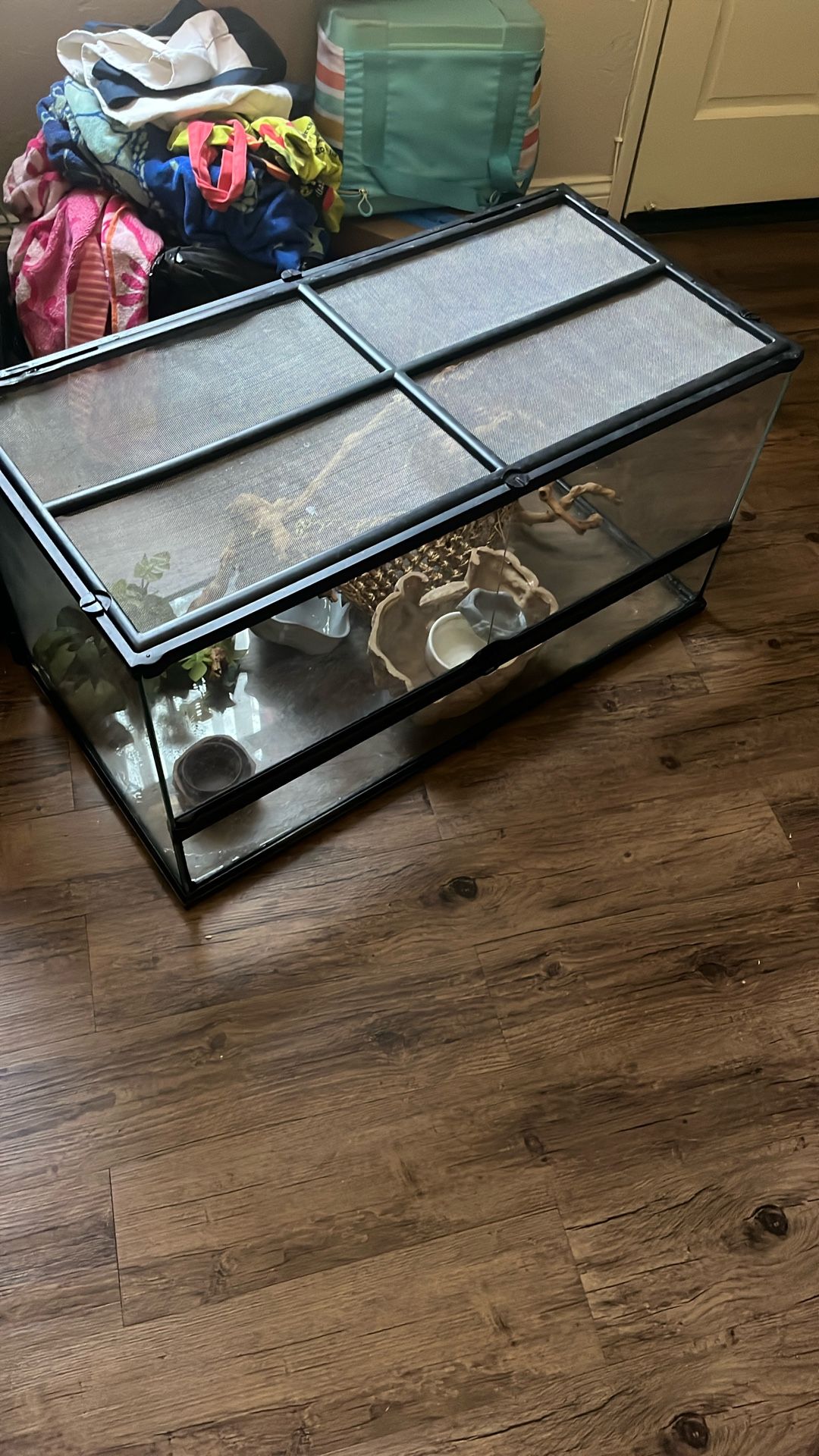 60 Gallon Enclosure For Sale