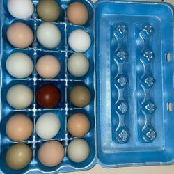 Farm Fresh Eggs! 6$ - Dozen