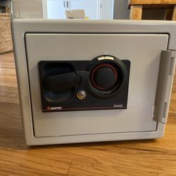 FREE Sentry Combination Safe (S0409)