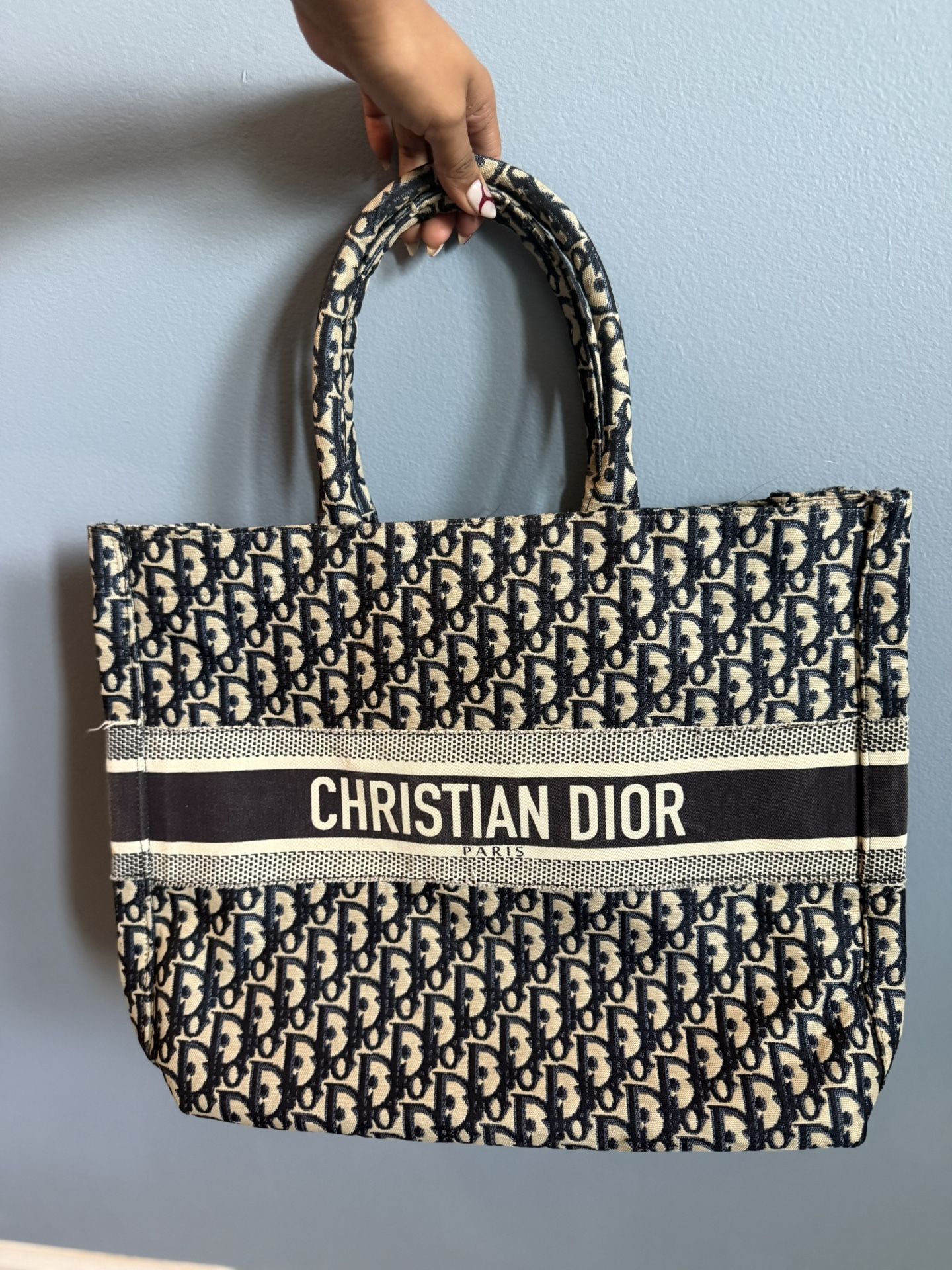 Christian Dior Book Tote Bag Large