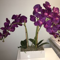 Silk Purple Orchid Arrangement