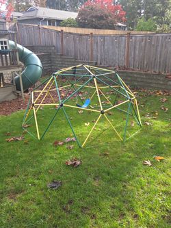 Jungle Gym