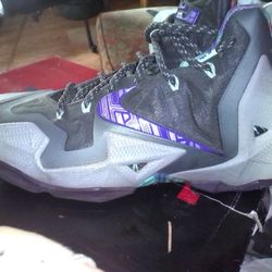 Size 11 Lebron's 