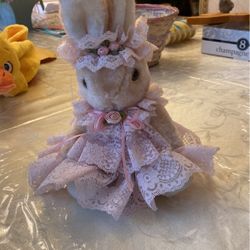 Lace bunny