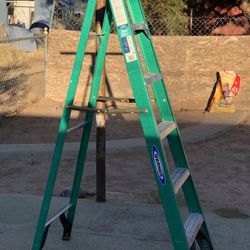 Werner Ladder 6 Ft.