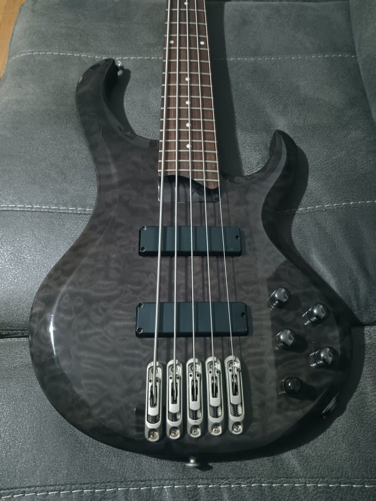 BTB Ibanez 5 String Beauty