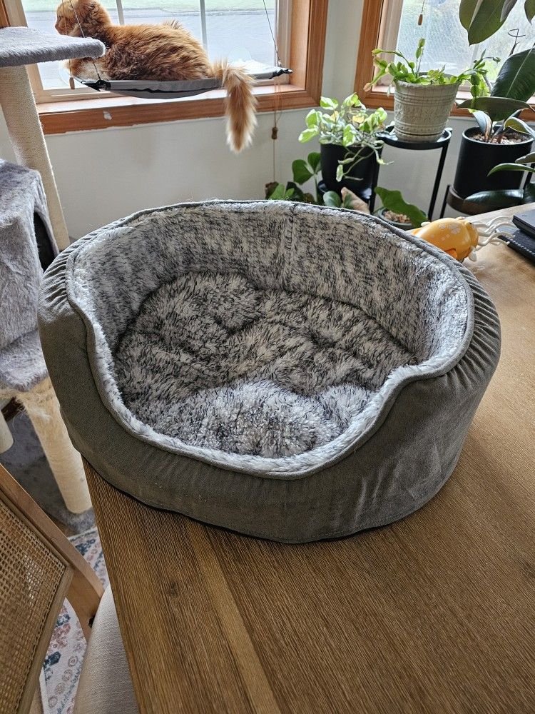 Cat Bed