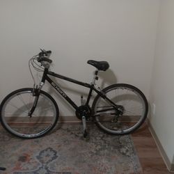 Schwinn Touring Bike