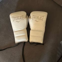 Everlast Powerlock 2 14oz