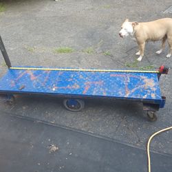 6 Wheeled Metal Cart
