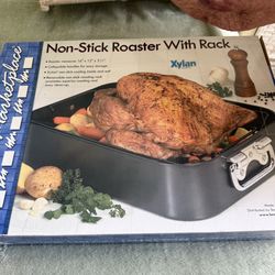 Brand new roasting pan/teapot