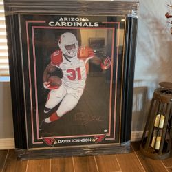 Arizona Cardinals David Johnson 
