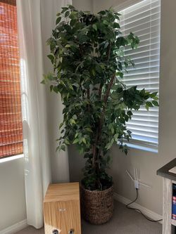 Indoor Faux Tree