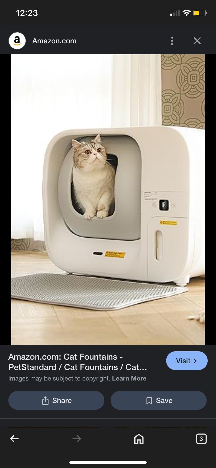 Kitty House