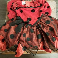 Halloween Costume 🎃 