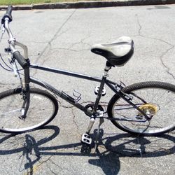 Raleigh Comfort Mens Bike 75.00