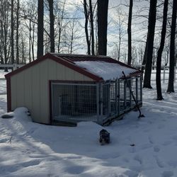 3 Door Dog Kennel
