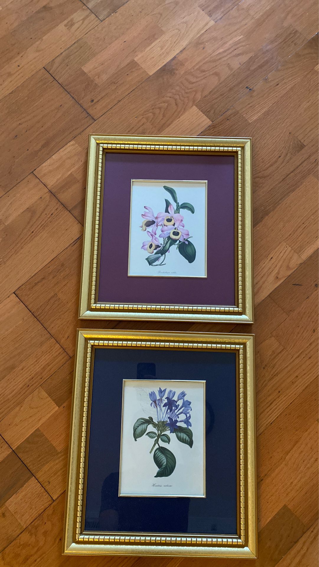 Pair of Antique Floral Paintings