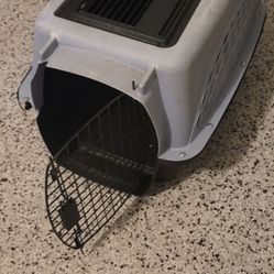 Kennel