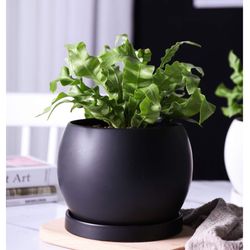  Wencassy Indoor Ceramic Planter Flower Plant Pot-5 Inch with Drainage Hole and Tray for Planting - Globe, Matte Black New