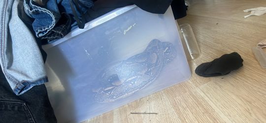 Bin