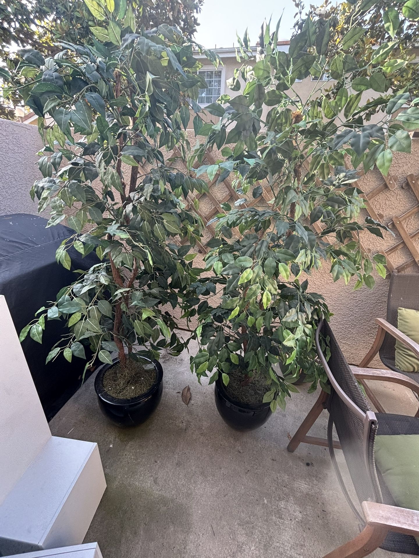 6ft Artificial Plants