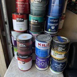GALLONS PAINTS $10 EACH