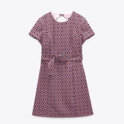 Zara Pink Retro Dress