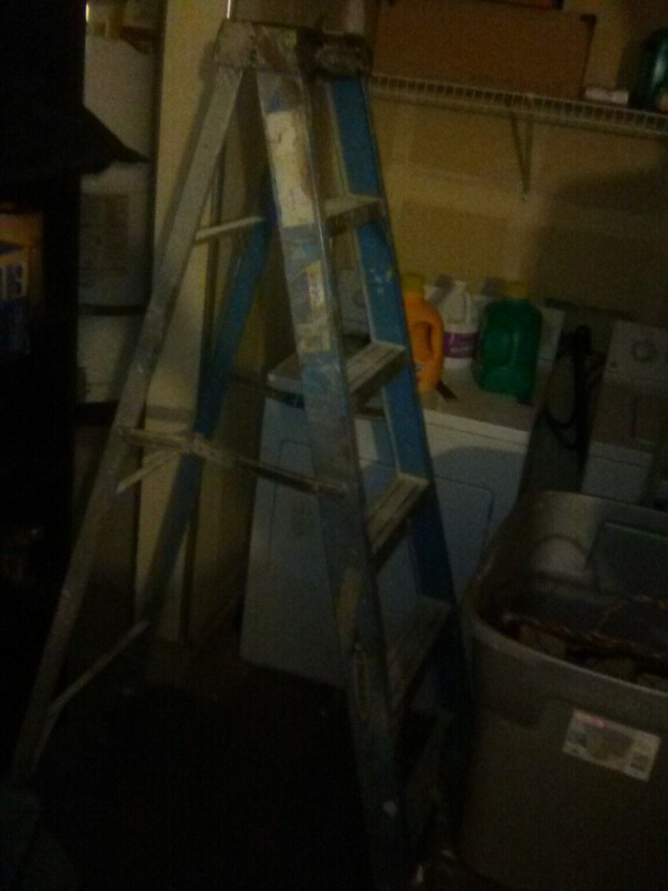 6 foot Werner ladder