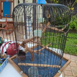 Bird Cage 