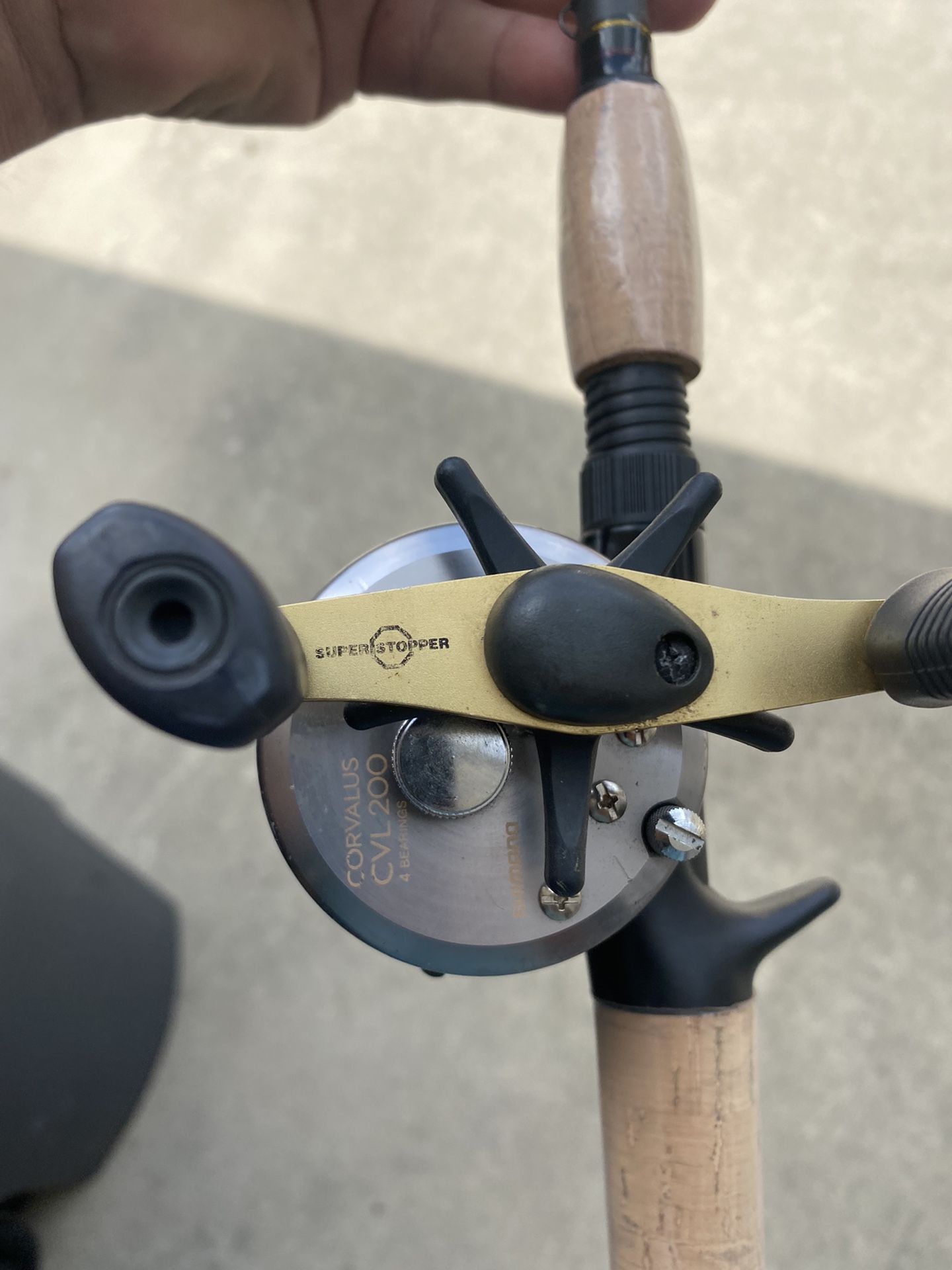 Shimano Reel With New Penn Rod.