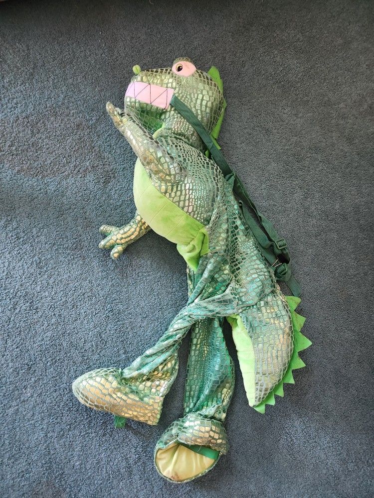 Dinosaur Costume $20