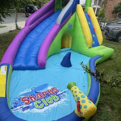 Inflatable Water Slide, Shark Bounce House With Spray And Water Pool
