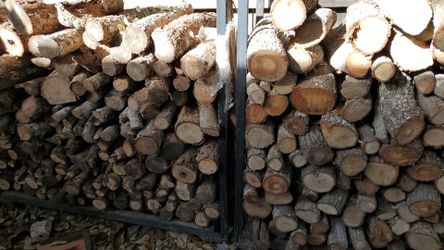 Mesquite,oak and Pecan