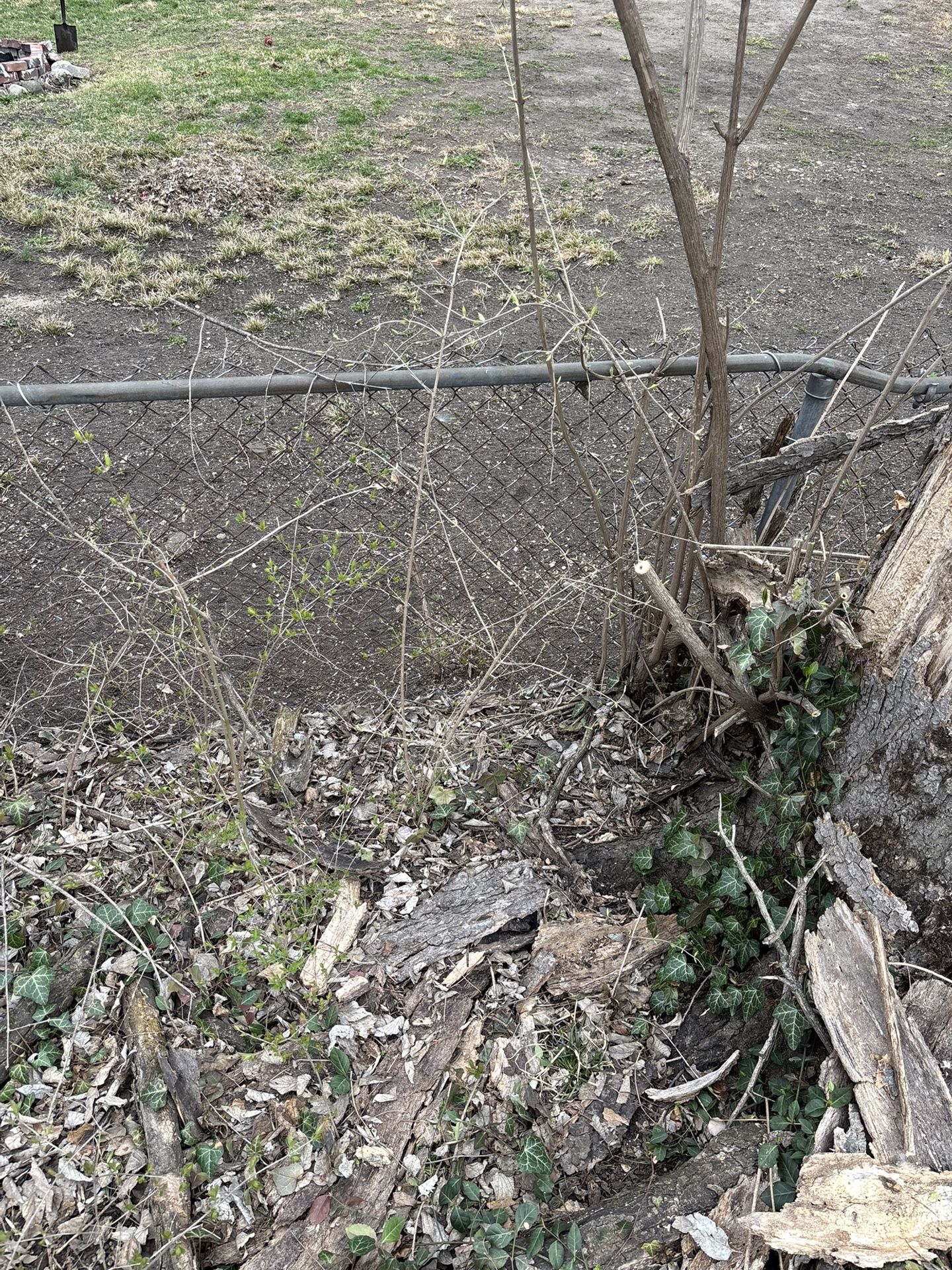 Lawn and Yard Work