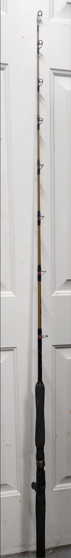 5'8 jigging rod ugly stick tiger