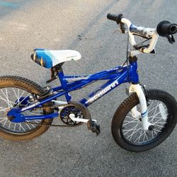 Kids Bike 16in Tires