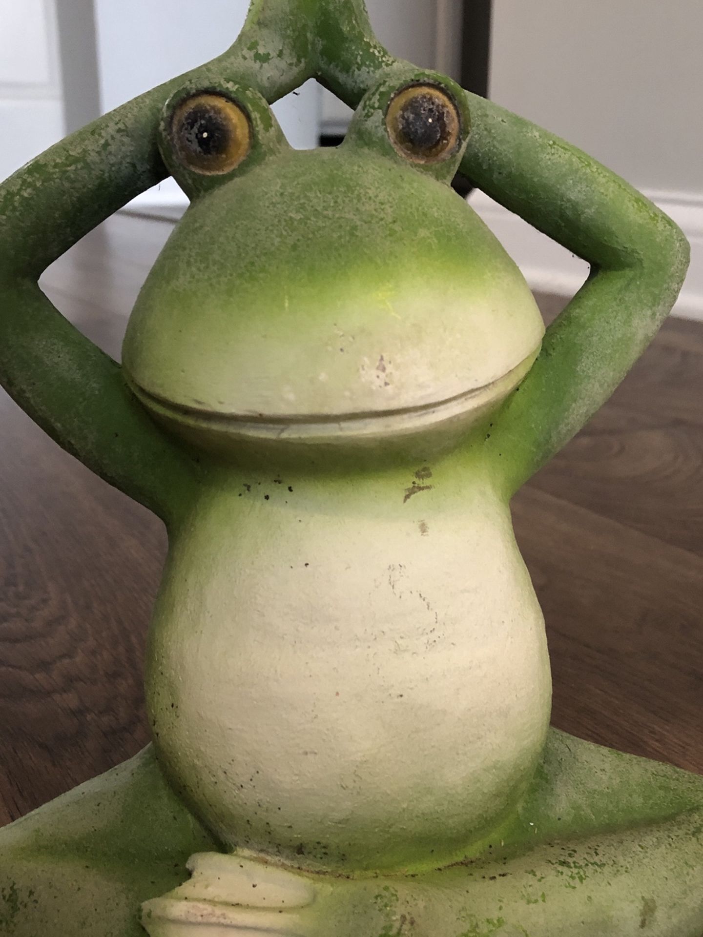 Yoga Frog