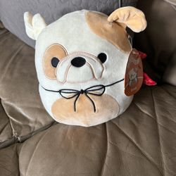 Brock Squishmallow 