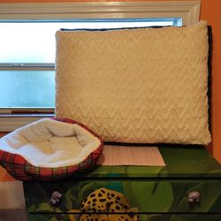 Pet Beds
