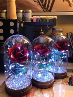 New Glass Dome Rose’s (different prices)