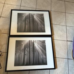 Serene Framed Wall Prints