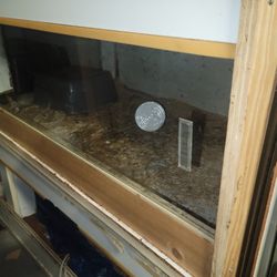 Free Tanks 